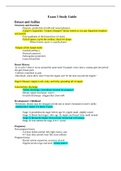 NR304 Exam 3 Study Guide / NR 304 Exam 3 Study Guide (Latest-2022/2023): Chamberlain College of Nursing