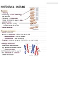 Samenvatting  Vergelijkende Biologie celdeling (B-KUL-E05C2A)