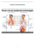 Een 8 halen voor Biomedisch Ademhalingsstel Hoofdstuk 23 is een eitje