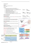 Introductory Psychology and Brain & Cognition - Both partial exams!