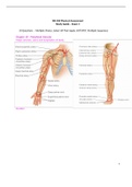 NR304 / NR 304 Exam 1 Study Guide (Latest 2022/2023): Health Assessment II - Chamberlain College