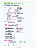 IB Biology SL/HL Review Topic 6, Human Physiology 