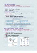 PSIO 201 Nervous System Notes