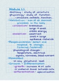 Feedback Loops and Integumentary System