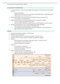 Chapter 7- cellular basis for inheritance: meiosis