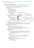 Chapter 9- molecular biology