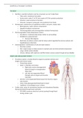 Chapter 16- the body's systems