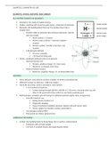 Chapter 2- chemistry of life