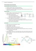 Chapter 5- photosynthesis