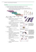 Chapter 11- evolution and its processes