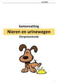 Uitgebreide samenvatting van Nieren en urinewegen, met opmaak!