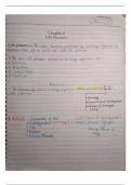 CBSE Class 10 Life Process Handwritten notes 