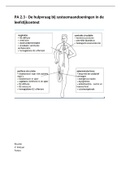 Case uitwerking Praktijkexamen periode 2.3 