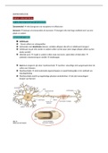 examen samenvatting biologie