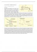 Samenvatting The Student's Guide to Cognitive Neuroscience -  Biologische grondslagen: Cognitie (PB0612)