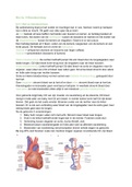 Samenvatting Biologie Bloedsomloop 