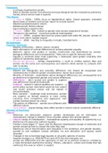 FEMINISM SUMMARY AND ESSAY PLANS (A LEVEL EDEXCEL POLITICS 