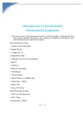 VSIM Carla Hernandez Documentation.pdf