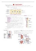 Biology 2 Exam 2 Lecture Notes