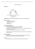 Igneous Rocks Notes