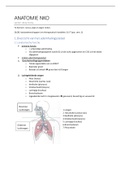 samenvatting: anatomie NKO (OLOD: basiswetenschappen ivm therapeutisch handelen 2)