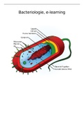 Bacteriologie e-learning 