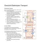 NU (Nieren En Urinewegen) Klein Overzicht Elektrolytentransport