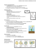 Samenvatting Biologie Hoofdstuk 4, ecologie (boek: Biologie voor jou 4 vwo)