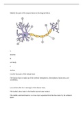 BIOL 235 A & P 2 study guide for final exam