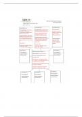 NURA 303 Concept Map Asthma case study