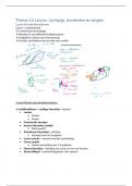 thema 14. Larynx