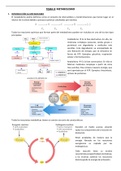 Tema 8. Metabolismo y catabolismo