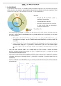 Tema 7. El núcleo celular