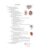 Unit 4: Renal System