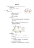 Unit 5: Endocrine System