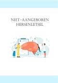 Samenvatting personen met een fysieke en/of sensoriële beperking H2  : niet-aangeboren hersenletsel 