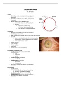Oogheelkunde 1: Uveïtis van Sander Beers