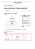 NUR 2488 Mental Health Nursing Final Exam Key Concepts