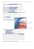 A&P 2- the heart/cardiovascular system 