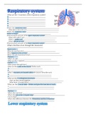 respiratory system bundle 