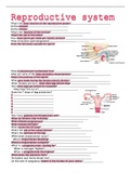 reproductive system bundle 