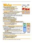 nutrition chapter 8 (minerals) bundle