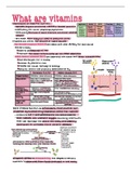 nutrition notes - chapter 7 (vitamins)