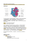 Samenvatting Circulatie en Vasculaire stoornissen Geneeskunde VU