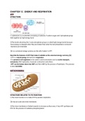 cie alevel biology chapter 12 energy and respiration 