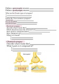 A&P 1 review sheet - the synapse 