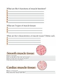 A&P 1 review sheet - muscle anatomy 