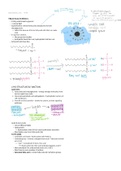 Review of Triacylglycerols for BIOC 431