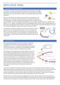 samenvatting biologie DNA