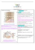 N306 Exam 1 Study Guide Latest Updated/Hartman.